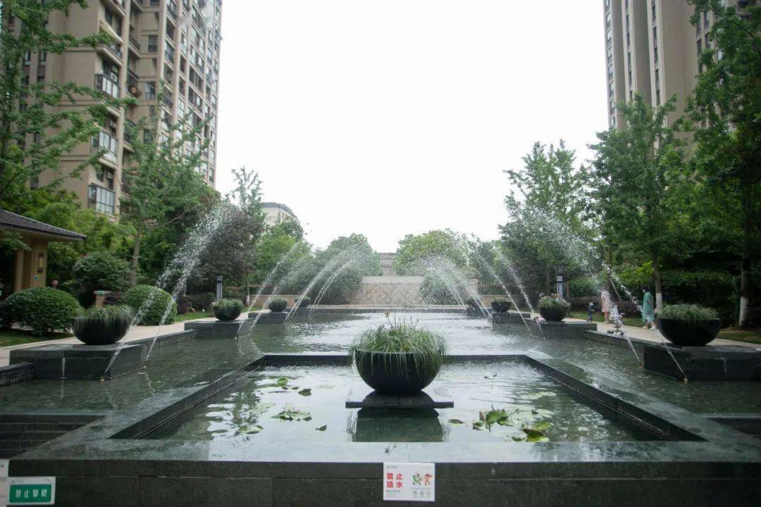 2020上半年前湾新区G_前湾新区规划图(3)