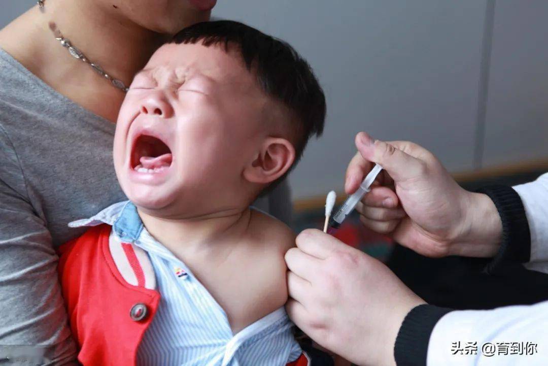 疫苗|宝宝接种疫苗要注意这些问题打完预防针后变脑瘫！为防止意外