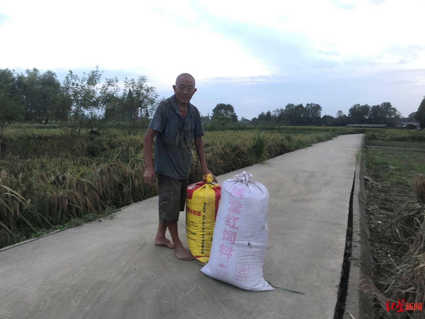 三星堆|见证｜三星堆国宝讲述人：农民工取土无意中发现玉石 一锄下去碰到青铜面具