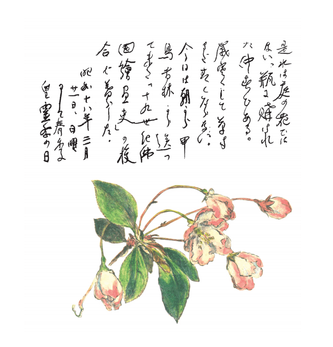黄叶曲谱_黄叶卡通图片(2)