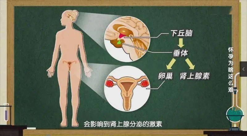女人怎么才能让男人分泌多巴胺 d4510453b865462d832540e828126e65.jpeg
