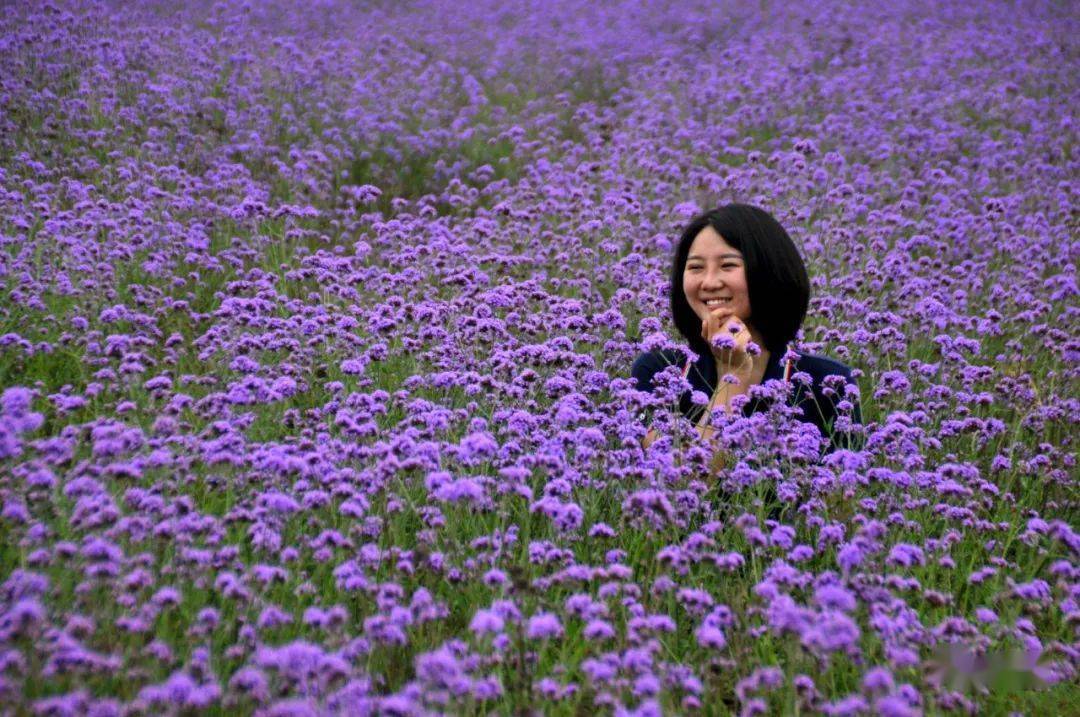 来看梦田花海新颜值!