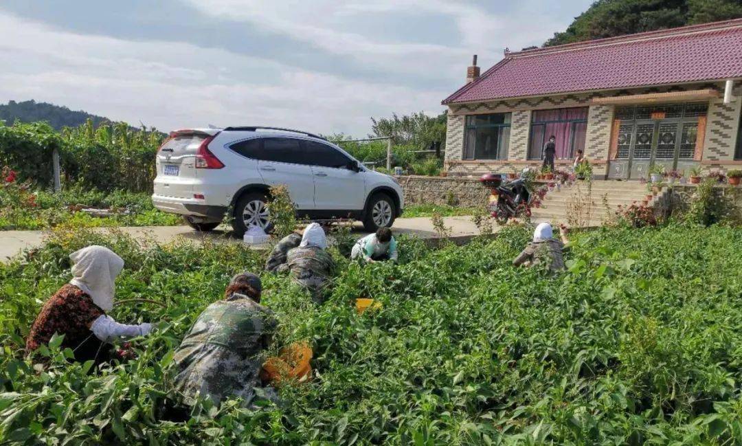 汤河镇妇联义务为民解难题_周淑芝