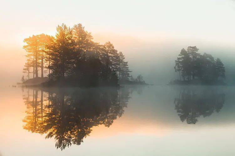 时节|露从今夜白