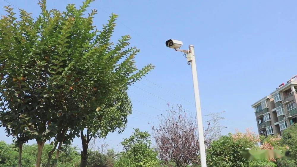 合肥实有人口_合肥各区人口分布图