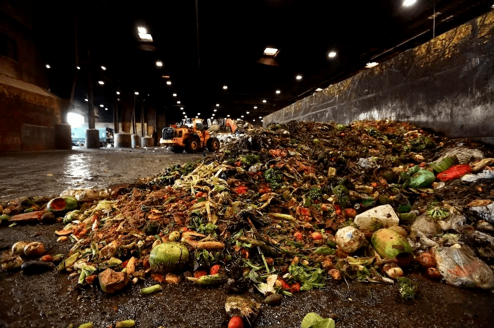 【倡议书】节约粮食,杜绝浪费,从你我做起!