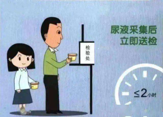 尿液|箭头高高低低看不懂？不懵圈、不求人，一篇教你看懂尿常规！