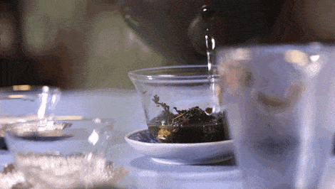 茶类|六大茶类最佳出汤时间！