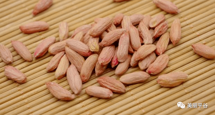 童年|影像平谷:那些花儿(7)童年的美味之秕花生