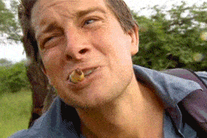 昆虫|去掉头嘎嘣脆的昆虫，会成为下一个“植物肉”吗？