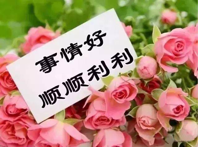 快乐每一天开心每一年 b0aac120a0334da0aed0ae16b106f8e6.jpeg