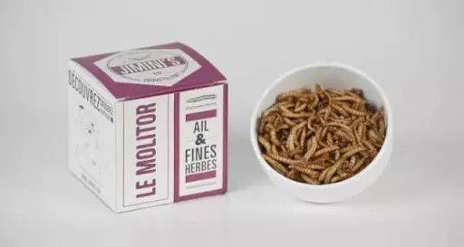 昆虫|去掉头嘎嘣脆的昆虫，会成为下一个“植物肉”吗？