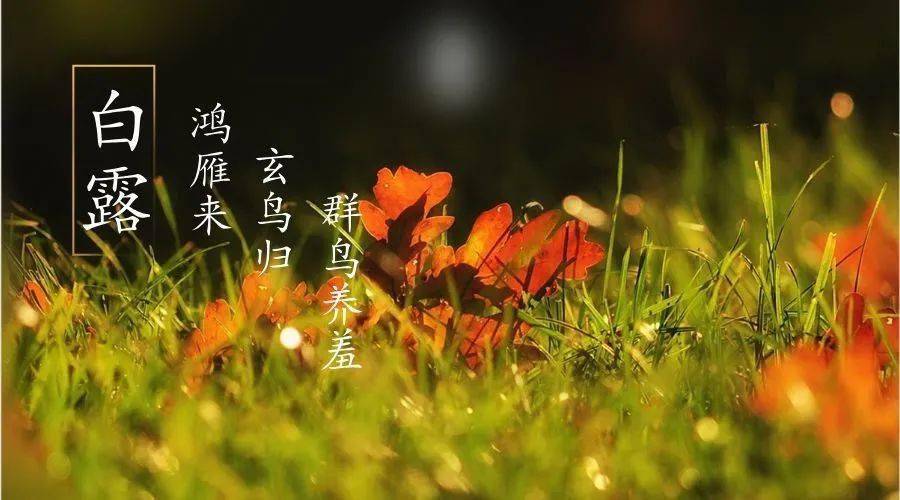 秋风至,白露生 | 大觉山秋意起,跳脱夏日感受秋的诗意