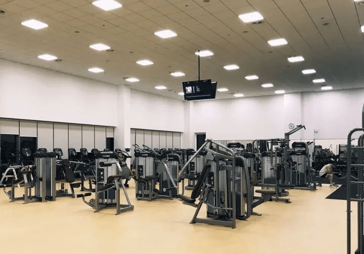 旅游学院|别再说深圳没有好大学了