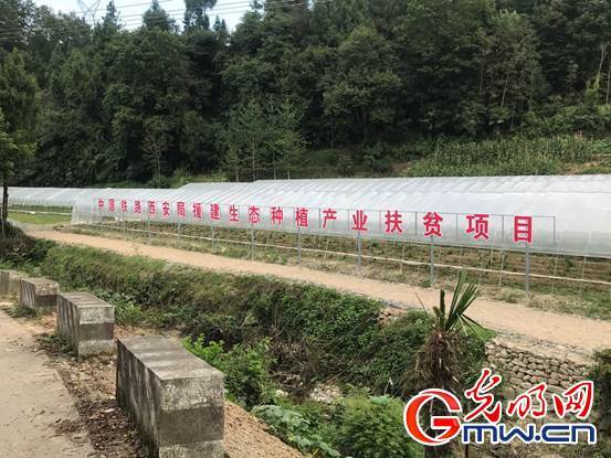 勉县gdp_勉县一中校花照片