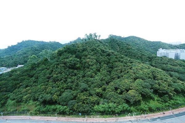 宿舍|广东一大学“偶像剧宿舍”疯狂刷屏！还有这些神仙宿舍，酸了酸了……