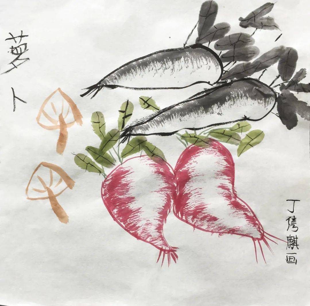 萝卜  