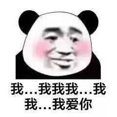 熊猫头表情包 | 我们能在一起吗 哪怕你是男的?_手机搜狐网