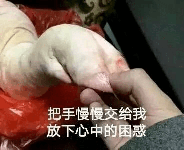 水晶|把玻璃卖成奢侈品，它给全世界女生一个廉价美梦