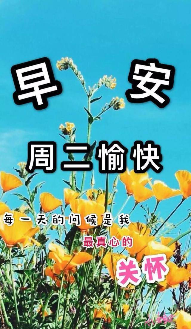 新的一天,新的希望,迎接新的机遇,早安