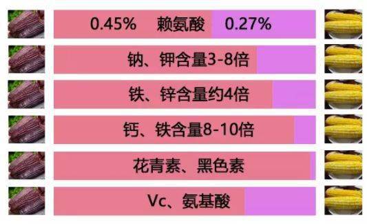 忻州|还有酸甜可口的山楂棒棒糖！超值39.9元丨老少孕妇都爱吃的忻州黑玉米返团
