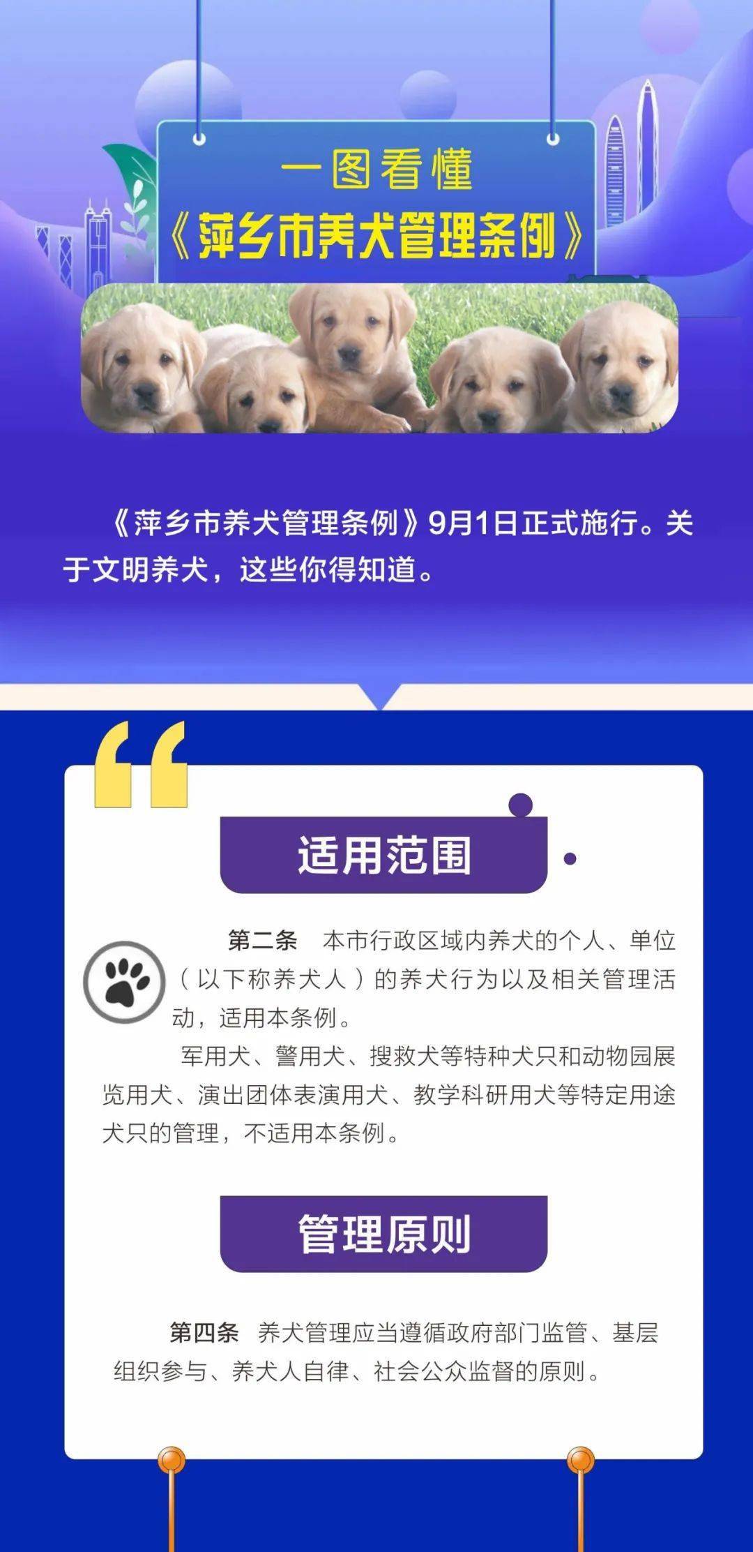 文明传播一图看懂萍乡市养犬管理条例