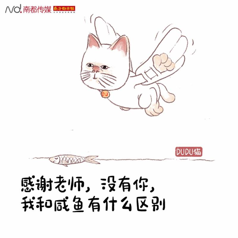 林军明|DUDU猫说教师节：假如没有老师……
