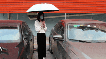 雨伞界的劳斯莱斯!