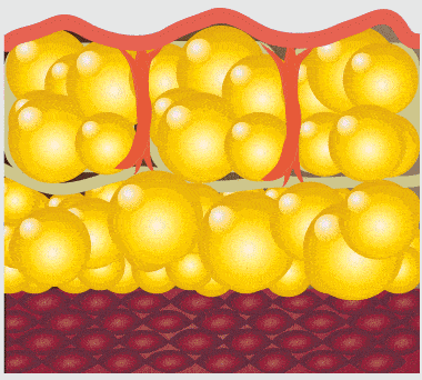 意大利|吴昕：你不瘦下来，永远不知道自己有多美！