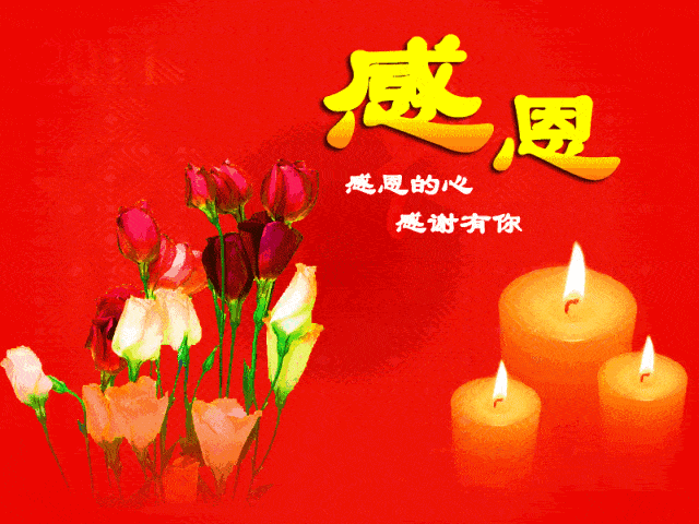 心暖西瓜君苏暖小污婆_感恩老师最暖心一段话_关于感恩老师感恩学校的作文