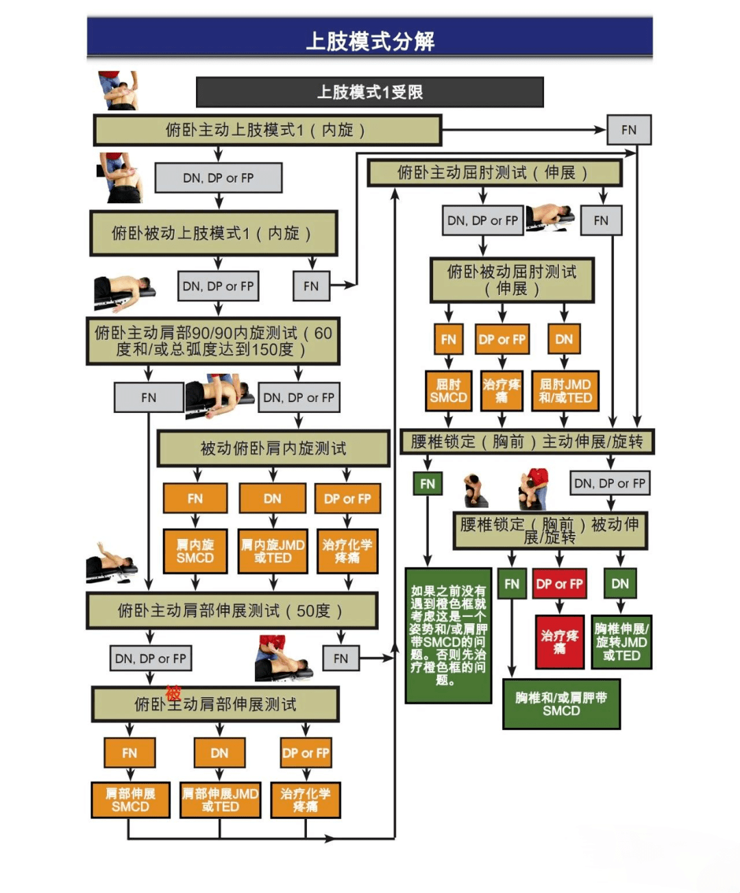 如今sfma在临床中应用越来越广泛,但是sfma评估的可靠性与检查者的