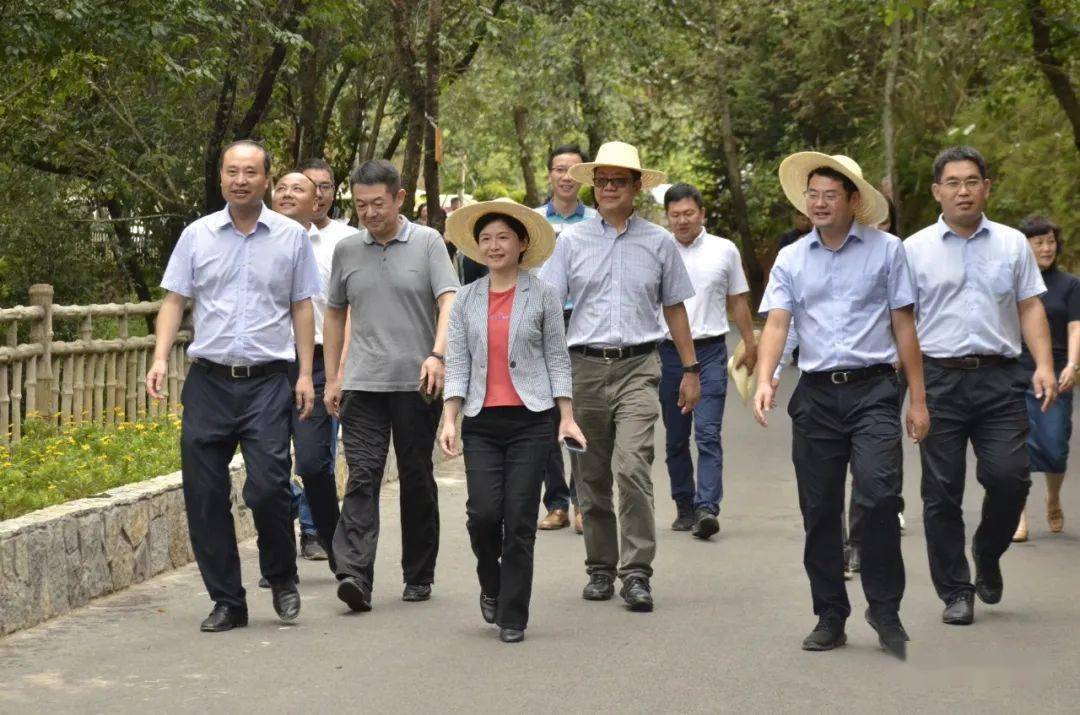 2020年东西部GDP比例_2020年中国gdp变化图