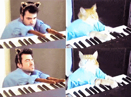 眼线|人类早期驯服四肢的真相