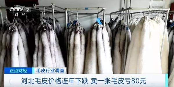 养殖户|曾经2万元一件的皮草如今7000 为啥卖不上价了？