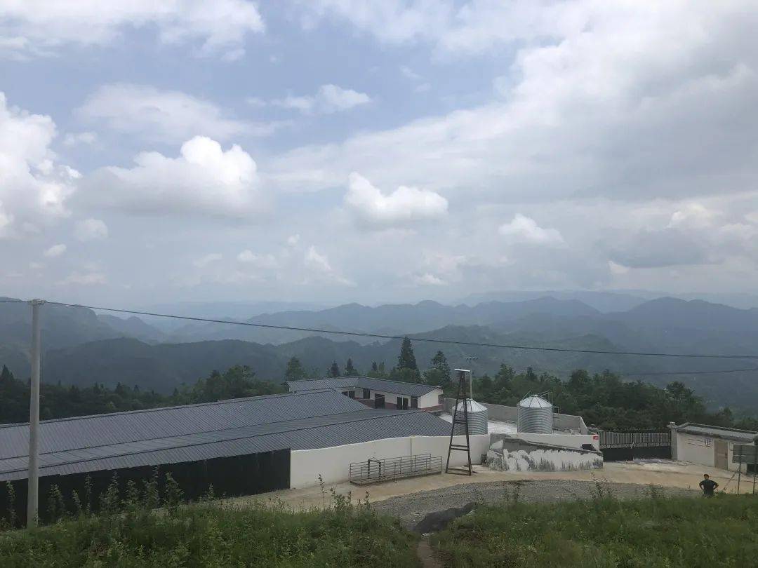 岩头镇GDP_gdp精雕无事牌头图片(2)