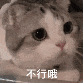 经典款|2020年早秋经典款包包，这3只起码得有一只吧！
