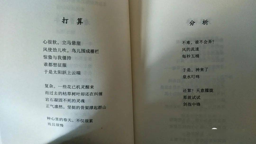 金包银简谱_金包银简谱歌谱(2)