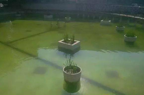 7aa3d9c1d5334e9ba60fa37f16c72072.jpeg