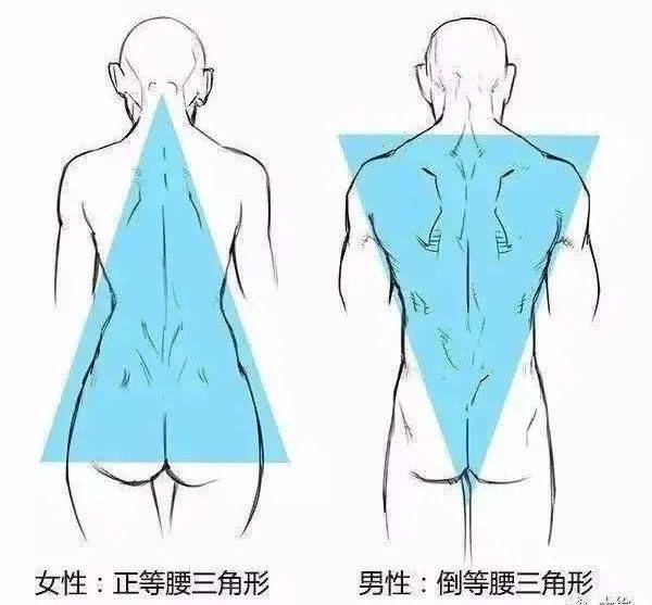 智商|张雨绮的矫姿带到底是智商税，还是真女神制造机？