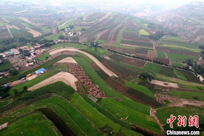 车间|福建连江与甘肃陇西：跨越2000多公里的“兄弟情”