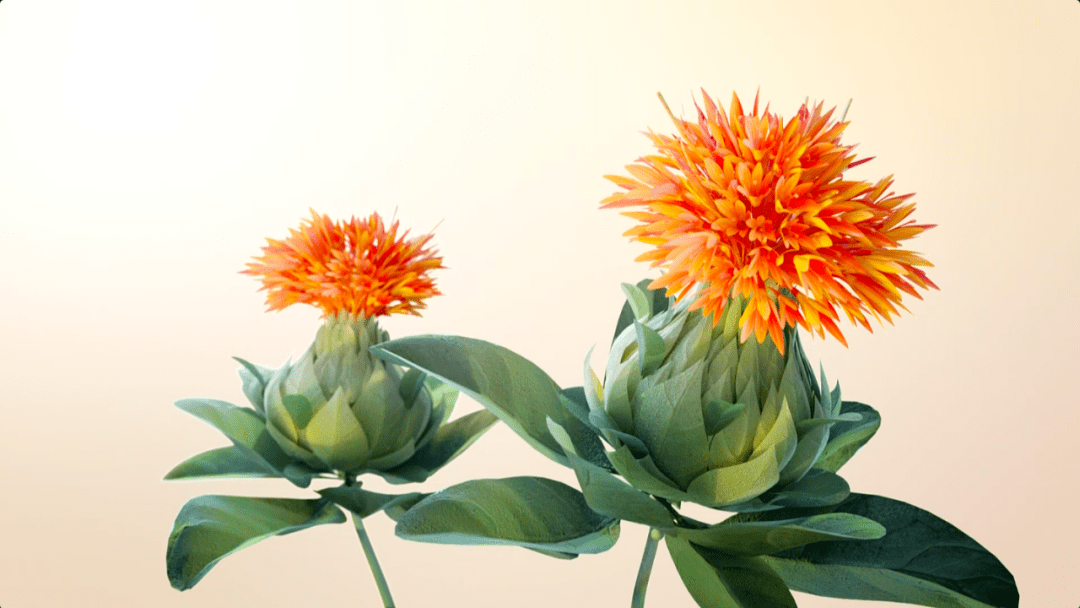 Slay|Slay全场的佳霏姐妹，想不到还有这一面？