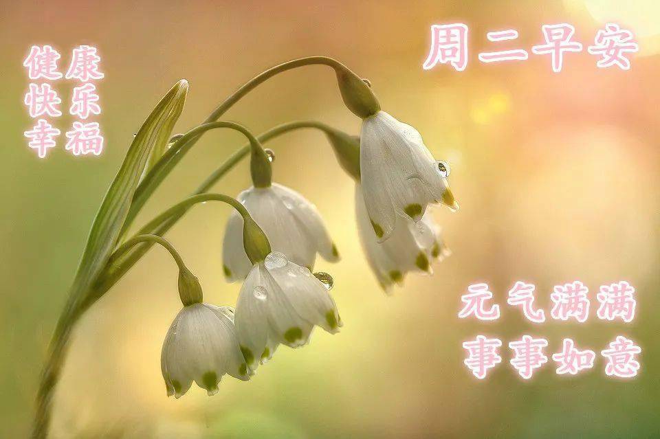 朋友圈最温馨的早安问候祝福短信 特别甜蜜的早安问候