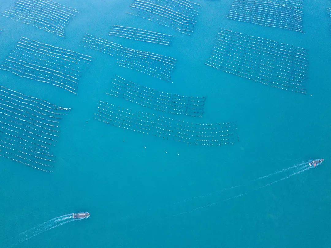 舟山gdp渔山岛_舟山gdp树状图(2)