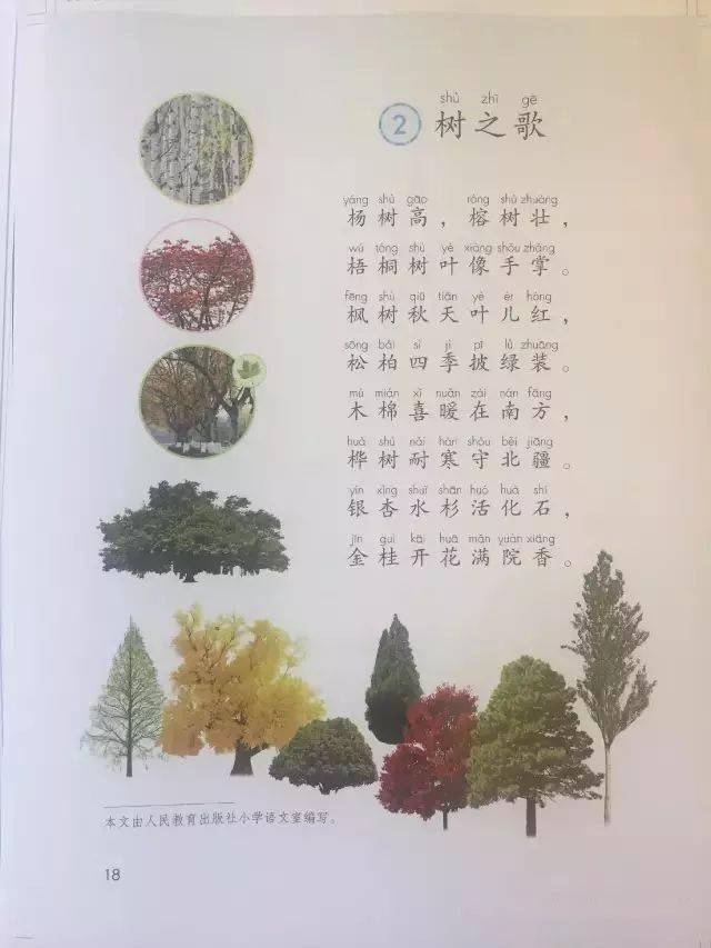 杨的笔顺怎么写呀