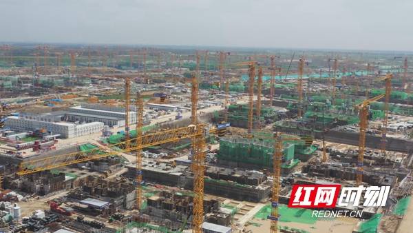 白天的雄安新区建设工地,宛如一个塔机的森林.
