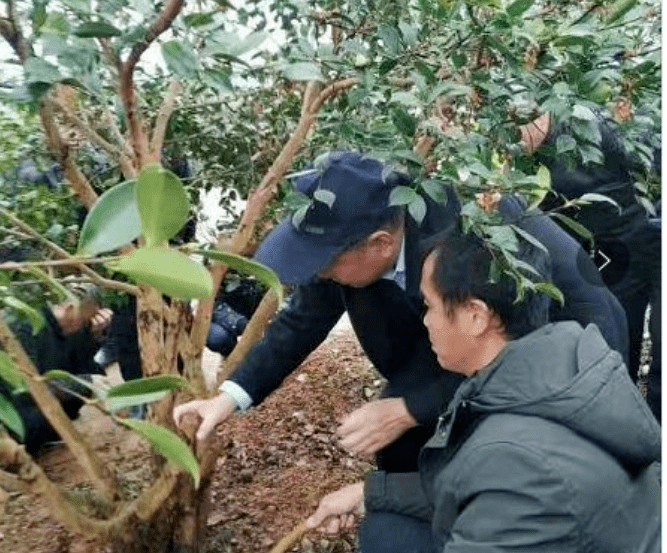 中草药产业经济总量_中草药大全(3)