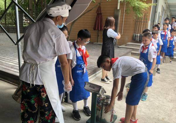 活动|培养节粮爱粮好习惯，各地中小学有这些妙招儿