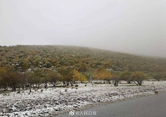 积雪|内蒙古赤峰下雪了