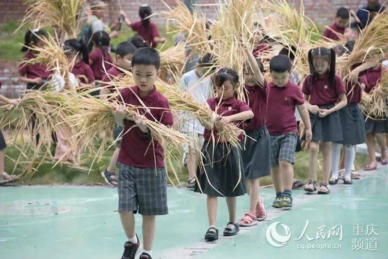 中小学|培养节粮爱粮好习惯，各地中小学有这些妙招儿 | 校园最“食”尚②