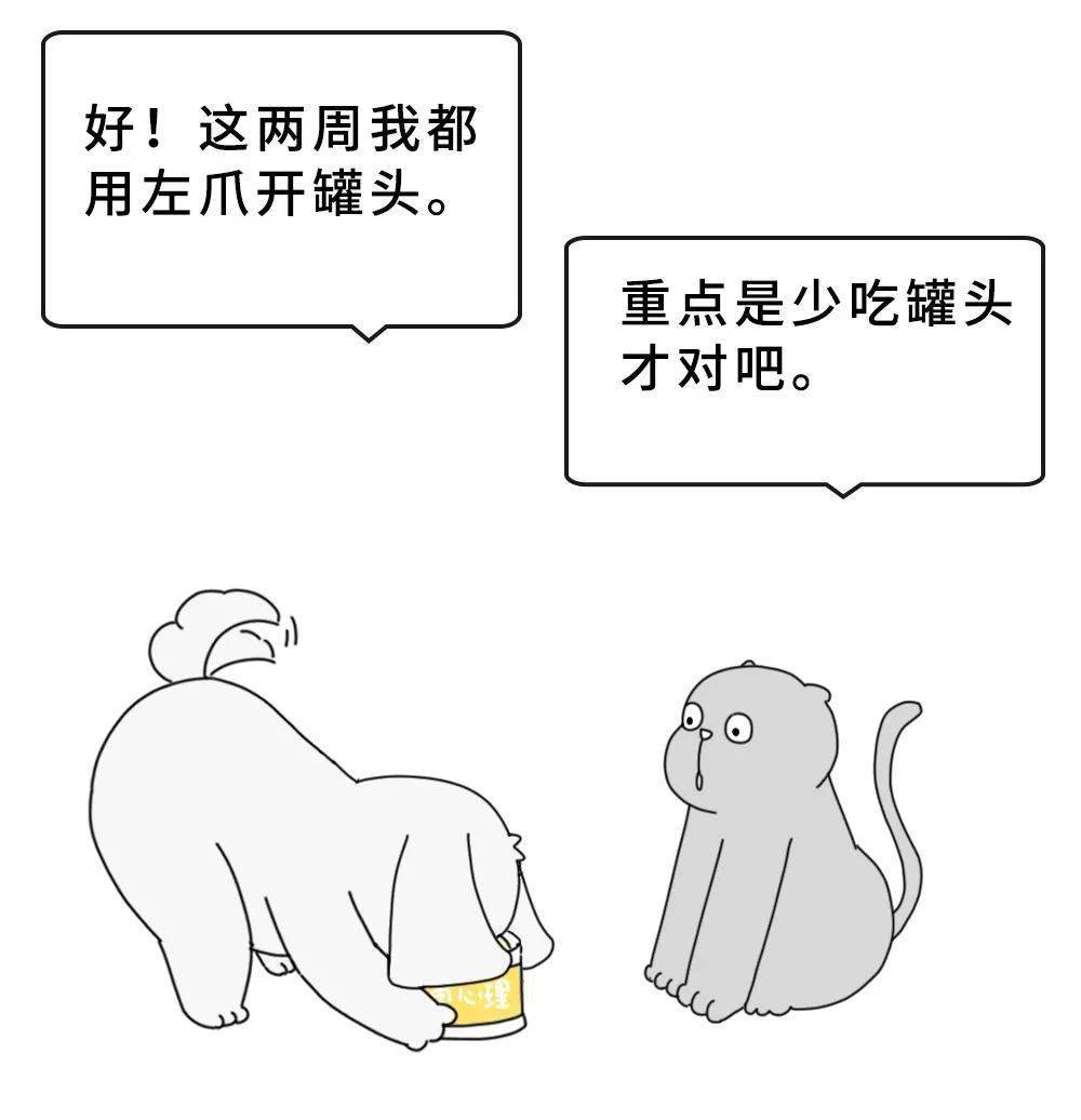 2351bd873c8c43d2b912908fe8caaec5.jpeg